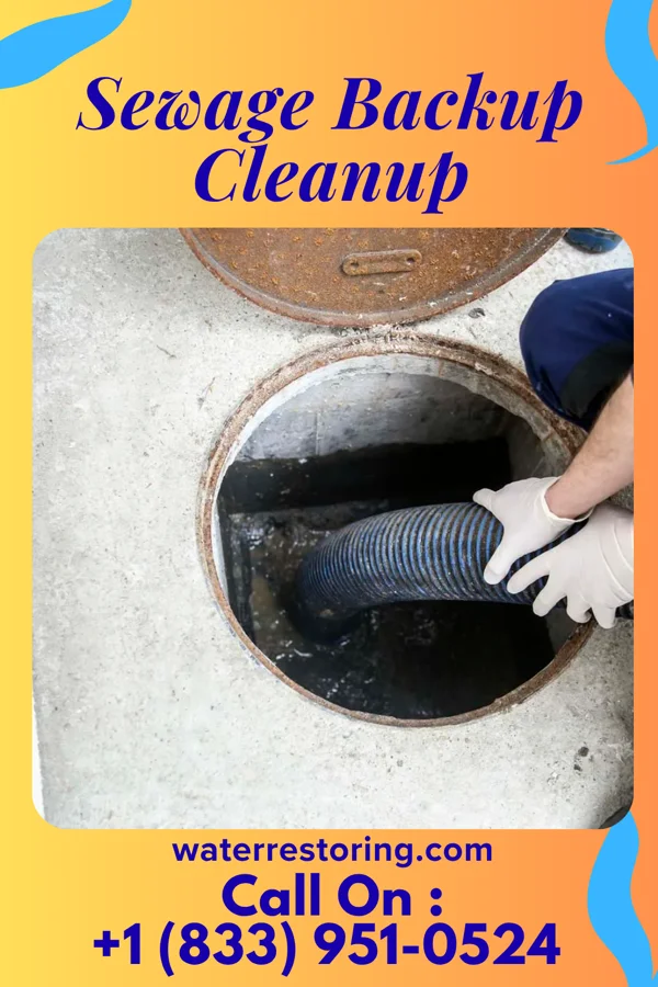 Sewage Backup Cleanup in Itta Bena, MS